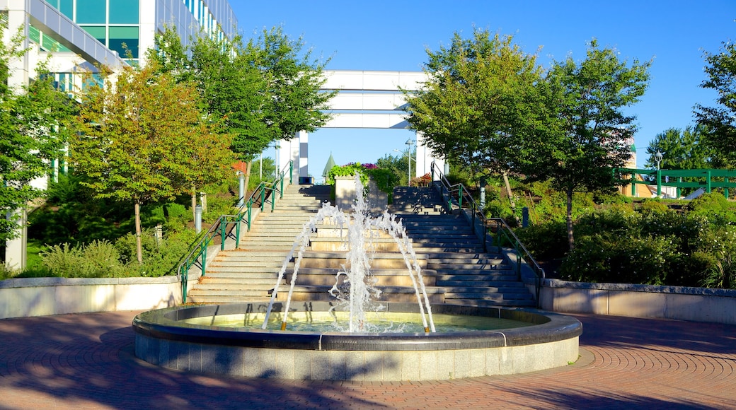 Dieppe featuring a fountain