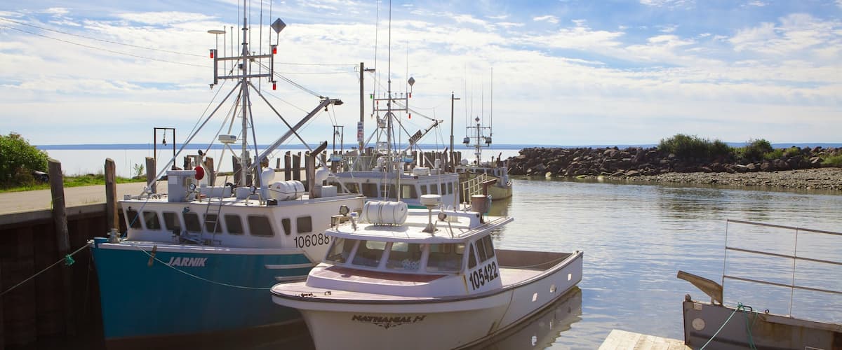 Alma showing a marina and general coastal views
