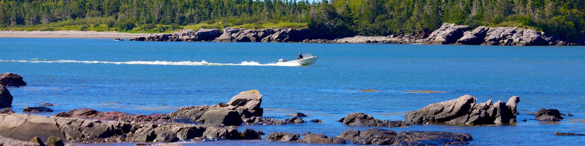 Chance Harbour which includes boating and general coastal views