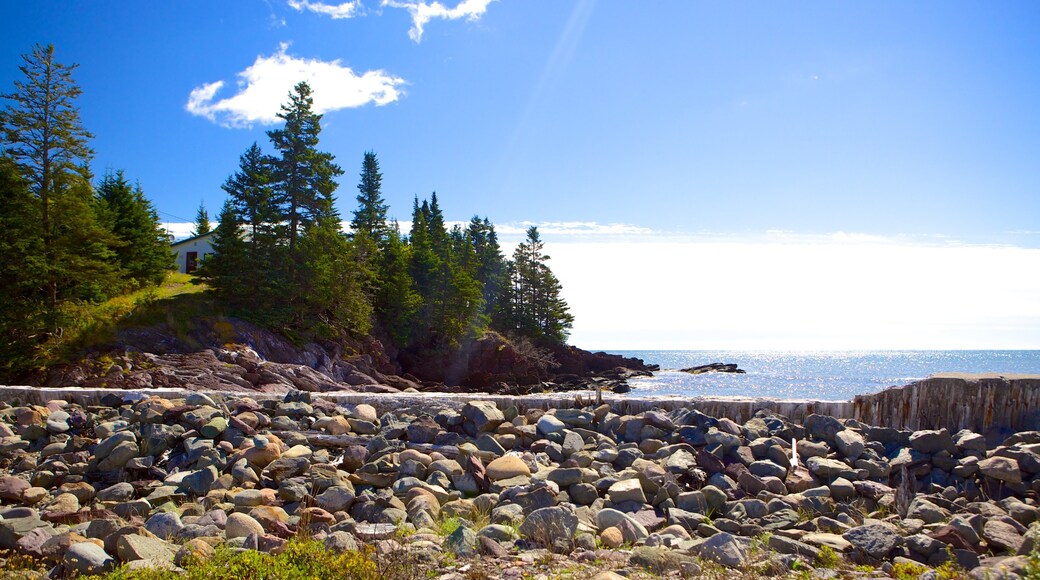 Chance Harbour showing general coastal views