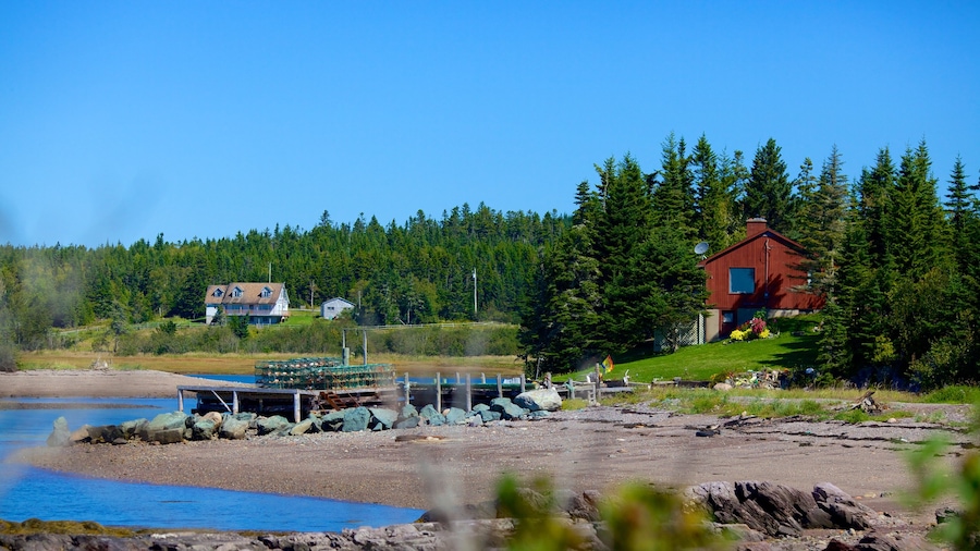 Chance Harbour which includes general coastal views