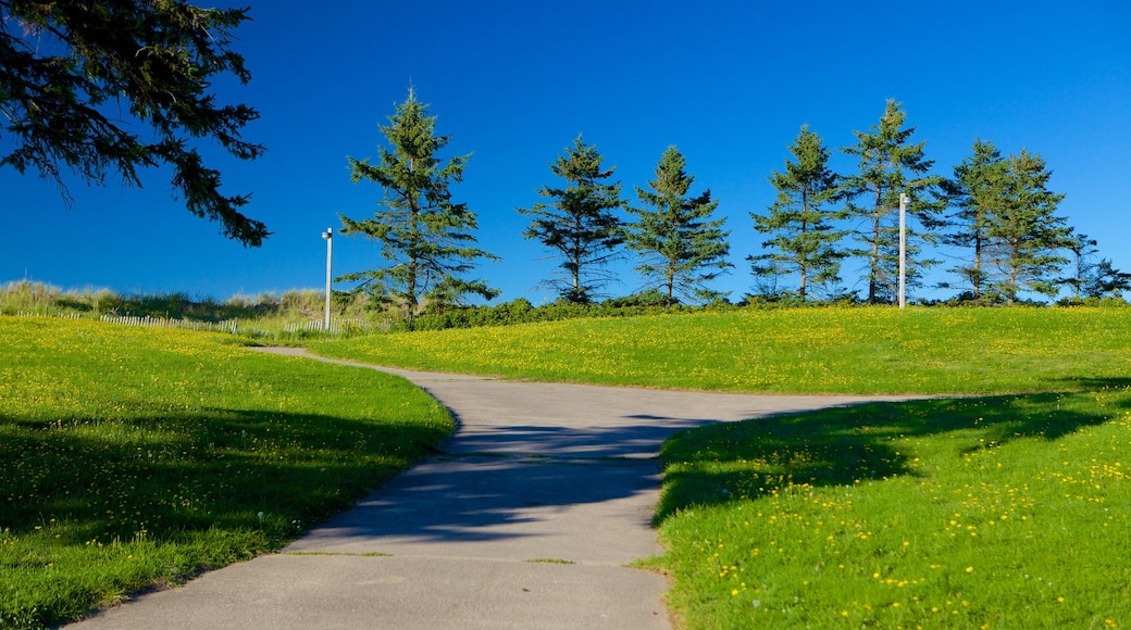 Parlee Beach Provincial Park which includes a garden