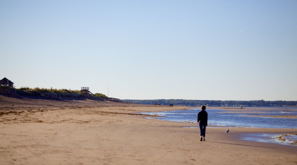 Parlee Beach Provincial Park which includes a beach