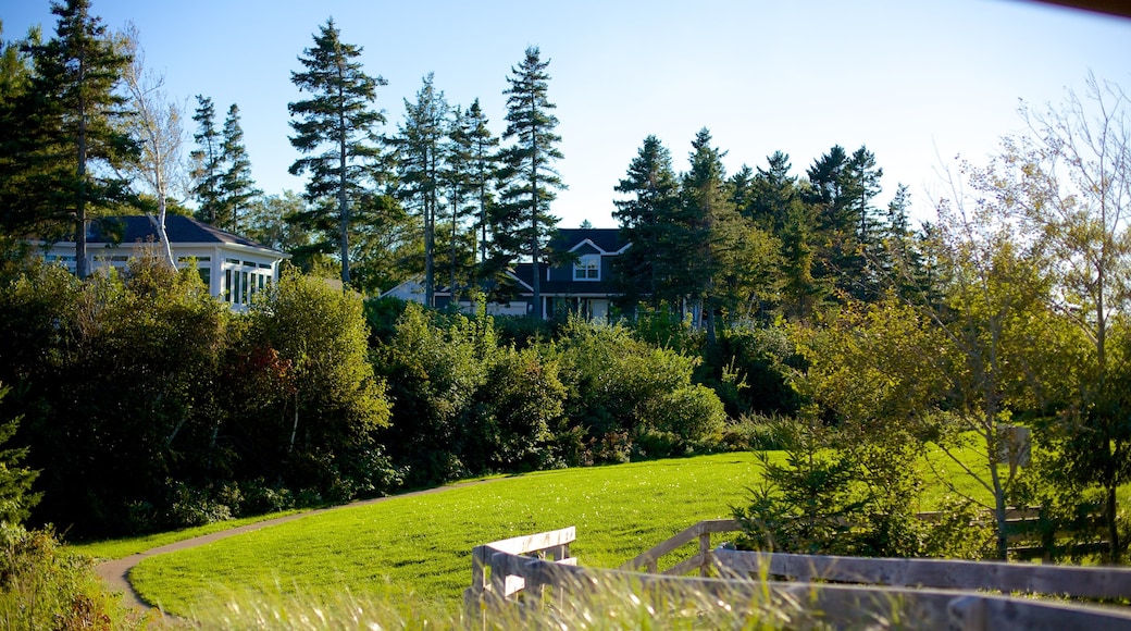 Parlee Beach Provincial Park featuring a garden and tranquil scenes