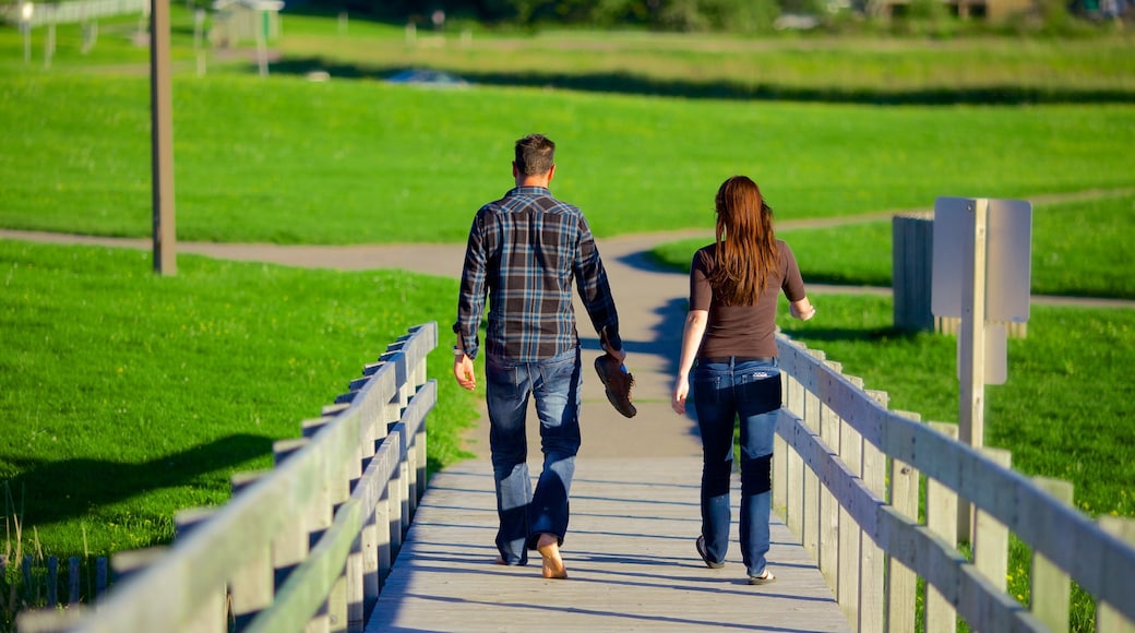 Parlee Beach Provincial Park toont een park en ook een stel