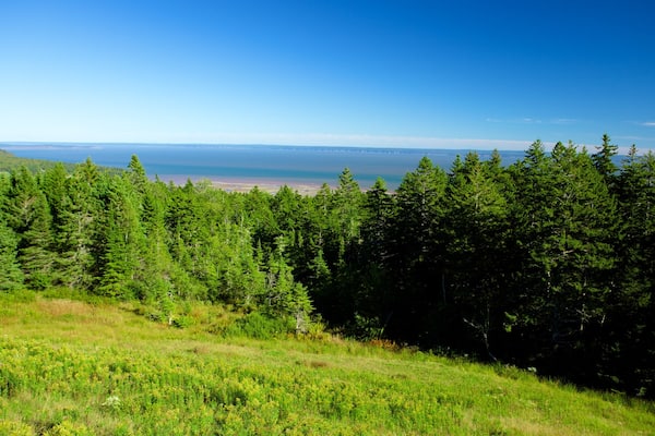 Parc national de Fundy mettant en vedette scènes forestières et vues littorales