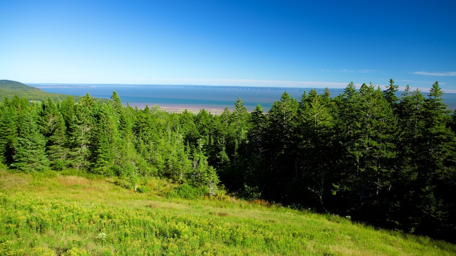 Parc national de Fundy mettant en vedette forĂȘts et vues littorales