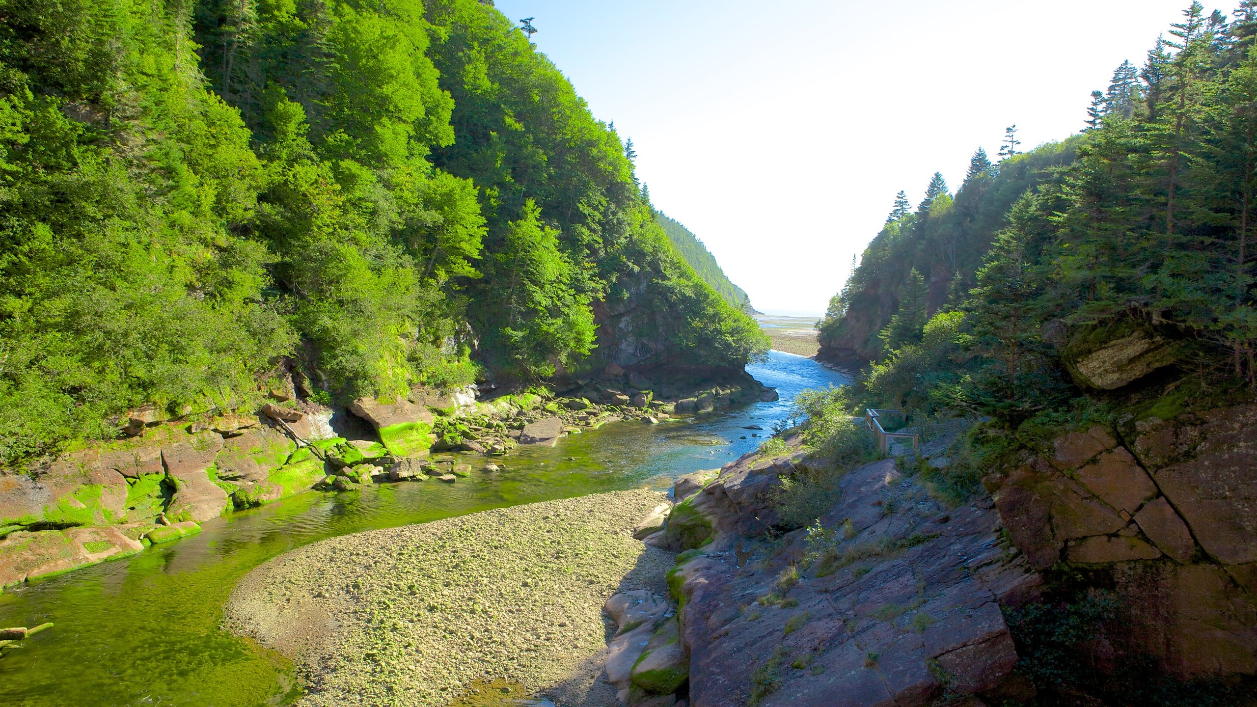 Review of Fundy National Park