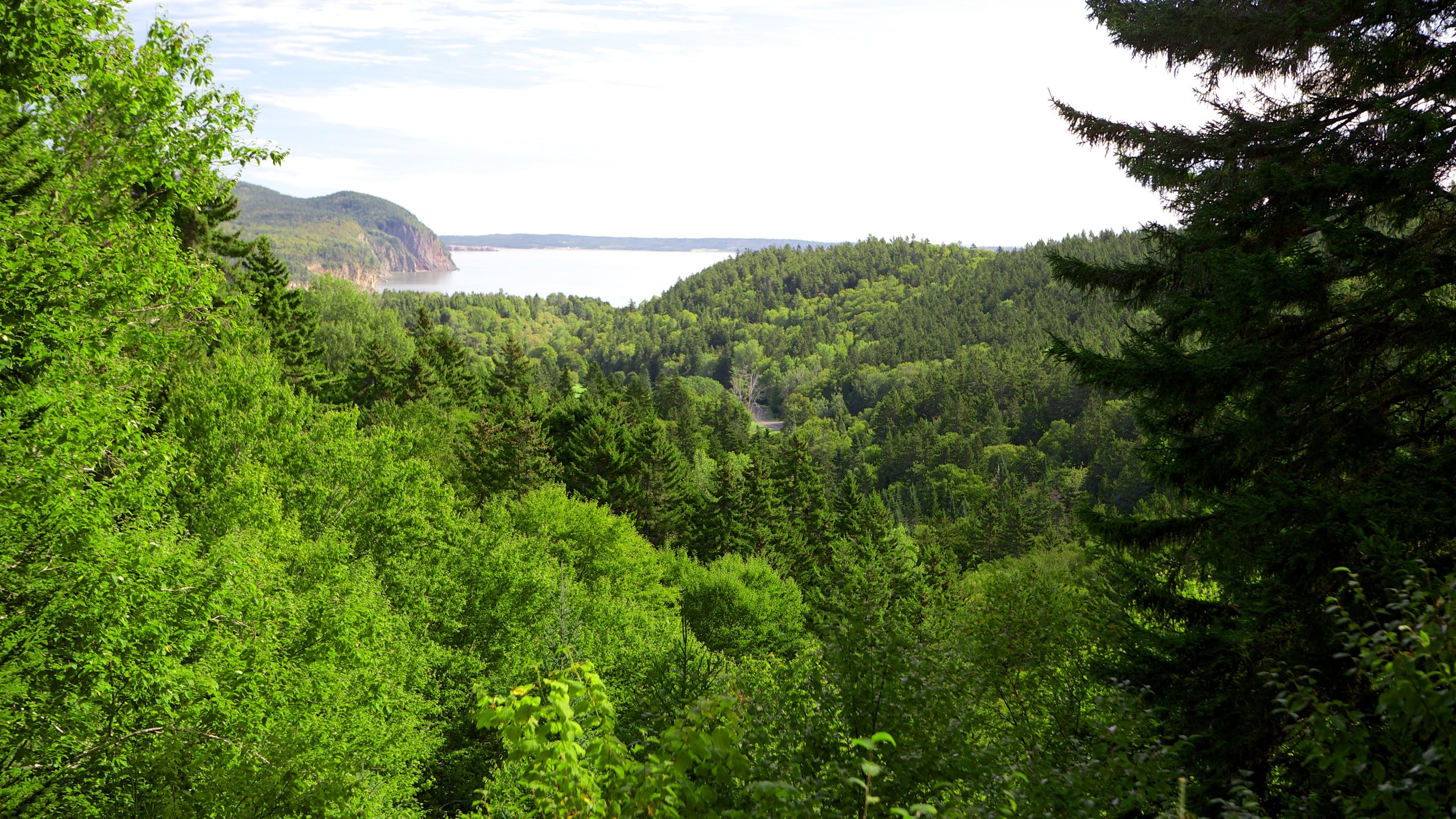 Fundy -  UK