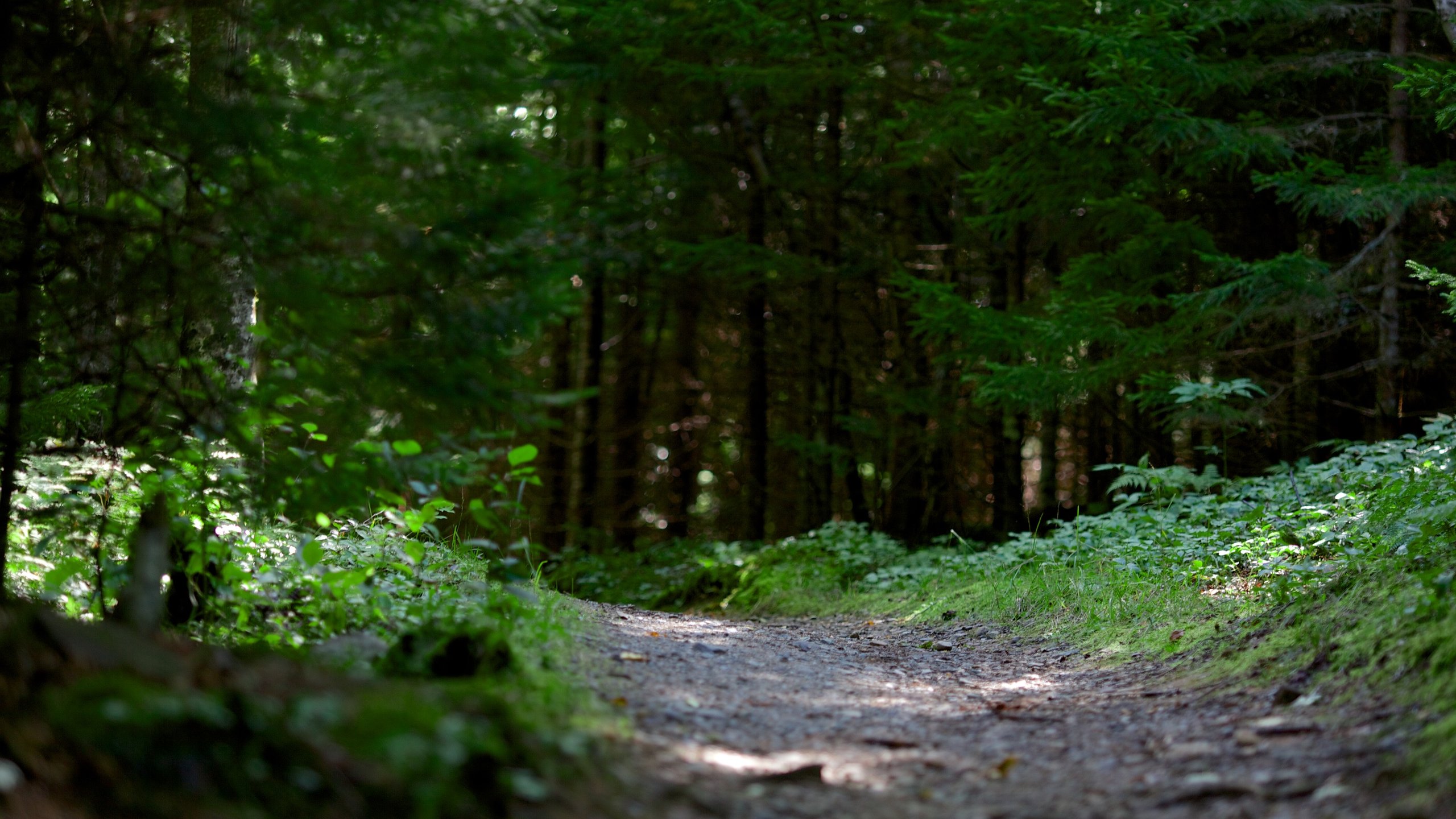 Review of Fundy National Park