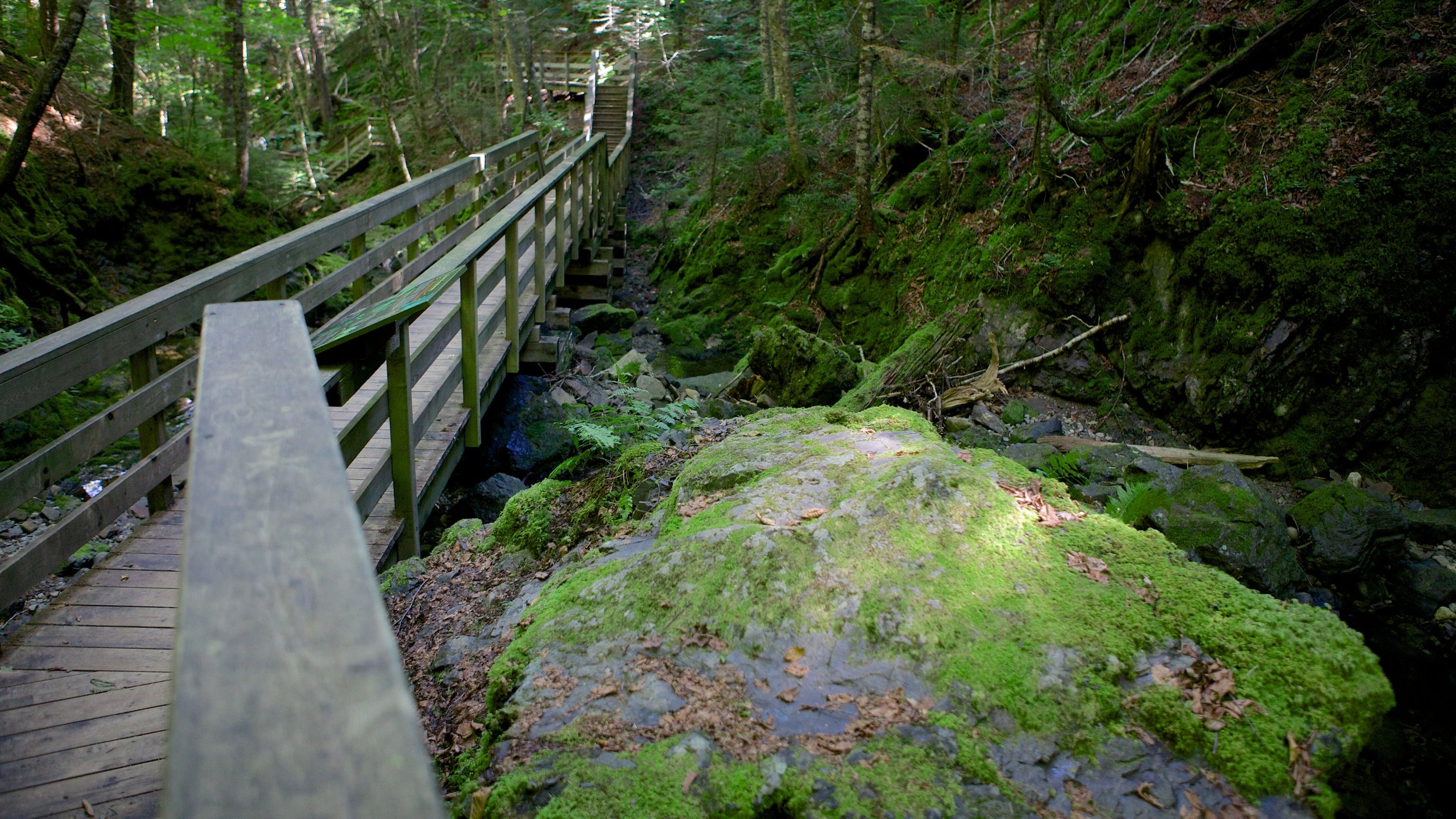 Fundy -  UK