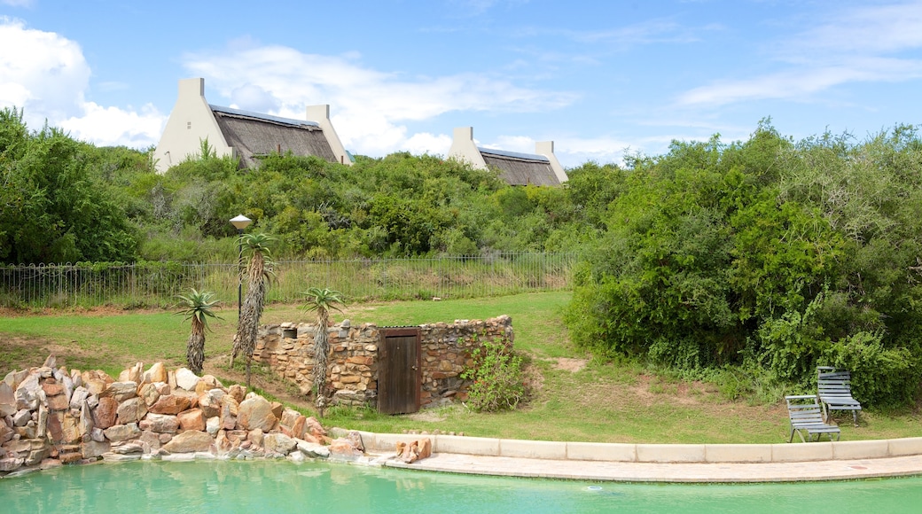 Addo Elephant National Park featuring a pool and a garden