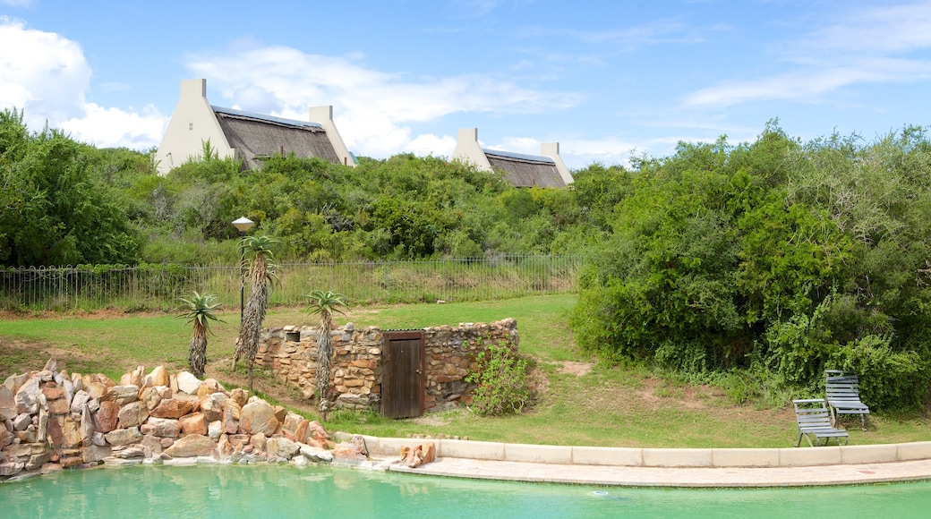 Addo Elephant National Park mostrando uma piscina e um parque