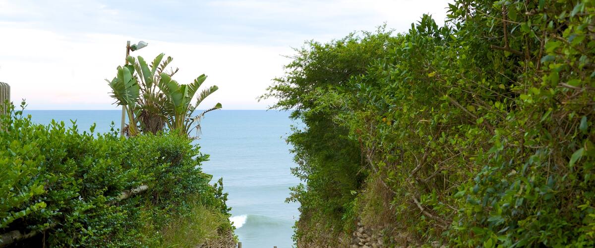 Richards Bay which includes general coastal views