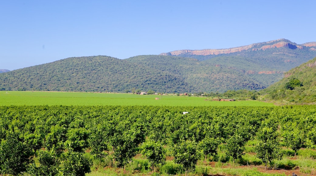 Mpumalanga - Limpopo 呈现出 風景圖 和 寧靜的景觀