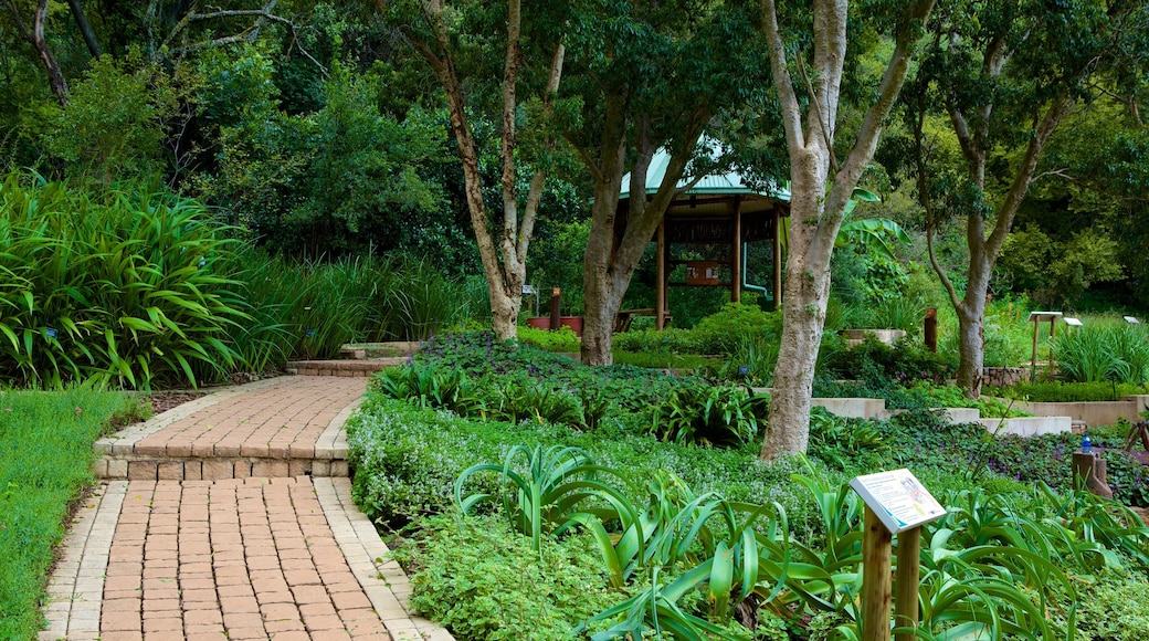 Jardim Botânico Walter Sisulu caracterizando um parque