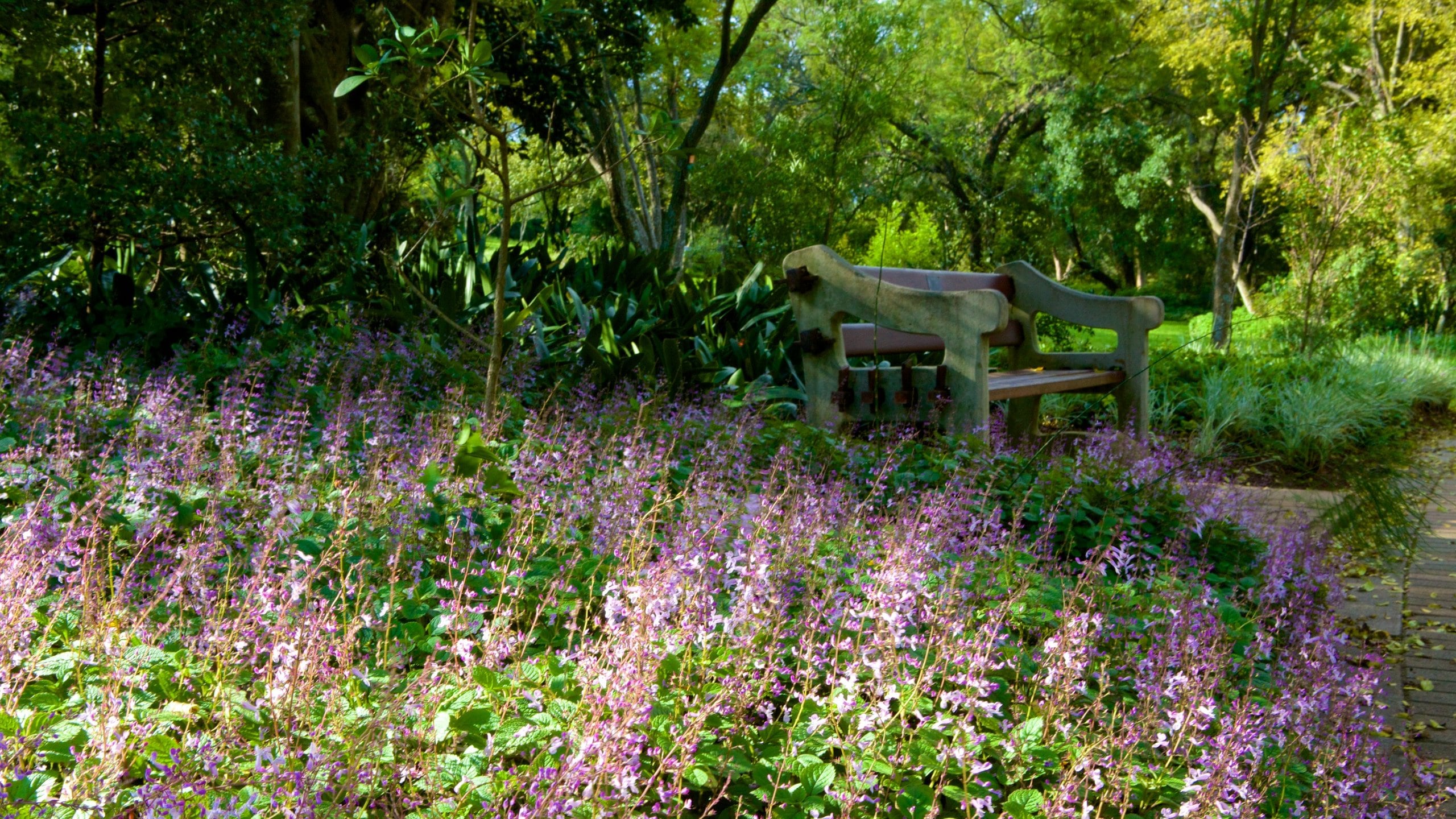 Jardin botanique Walter Sisulu National Botanical Garden, Krugersdorp