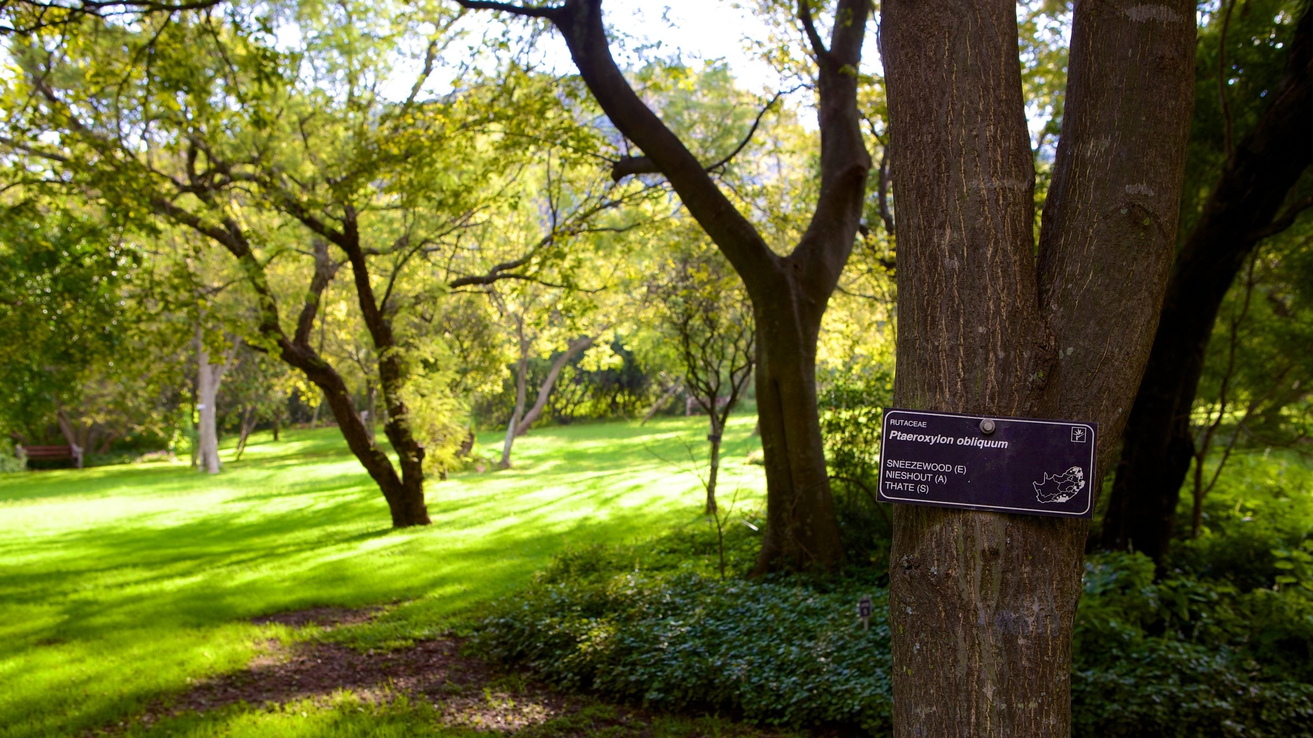 Walter Sisulu Botanical Gardens Wedding Venue Fasci Garden