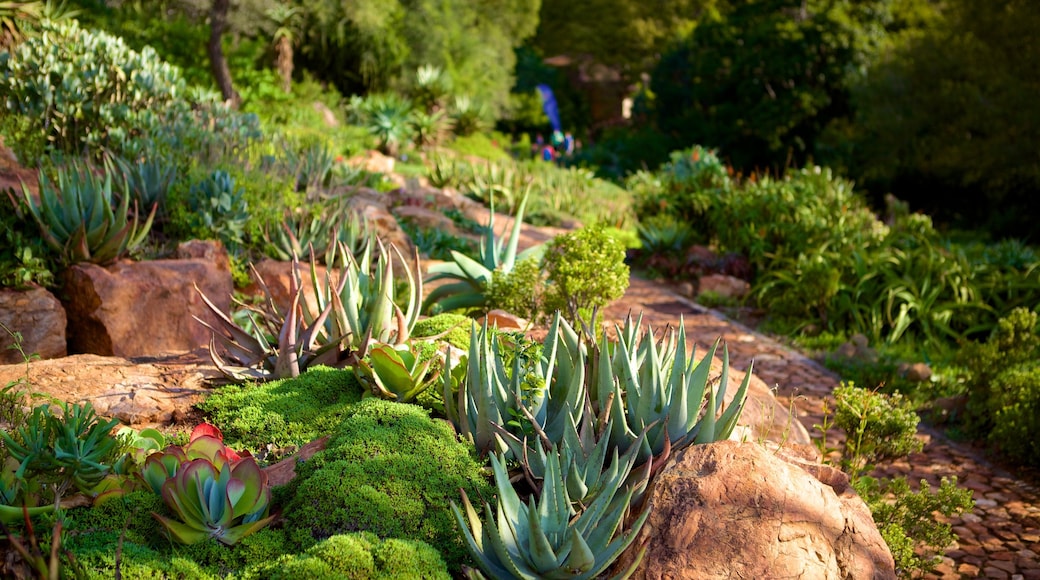 Walter Sisulu Botanical Gardens showing a park and flowers