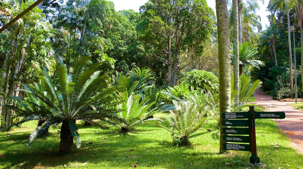 Durban Botanical Gardens caratteristiche di giardino