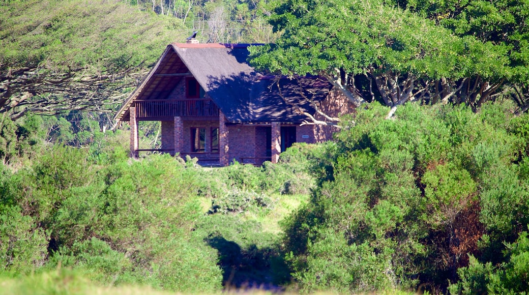 Kragga Kamma Game Park showing tranquil scenes