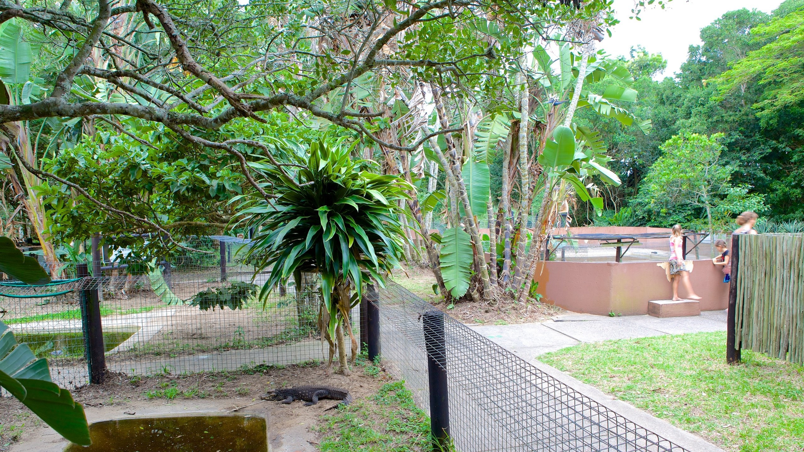 St. Lucia, ZA holiday from AU 57/night Stayz