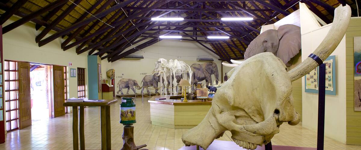 Mpumalanga - Limpopo mettant en vedette vues intérieures