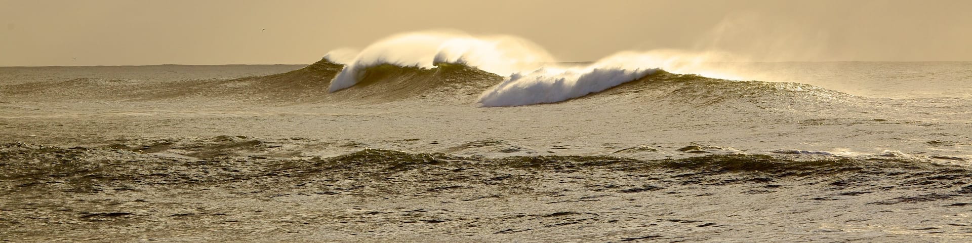 East London showing general coastal views and surf