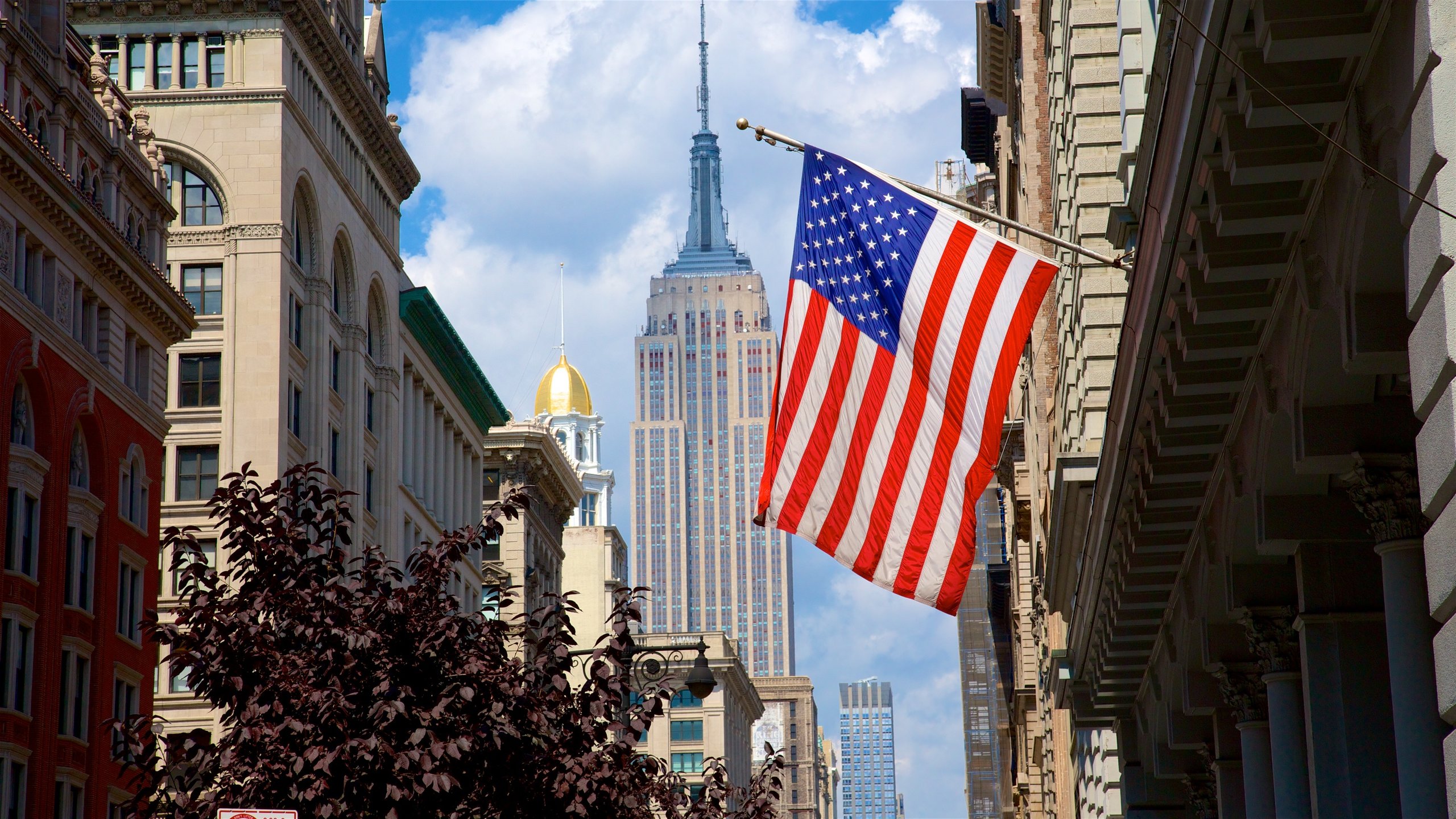 New York showing a city