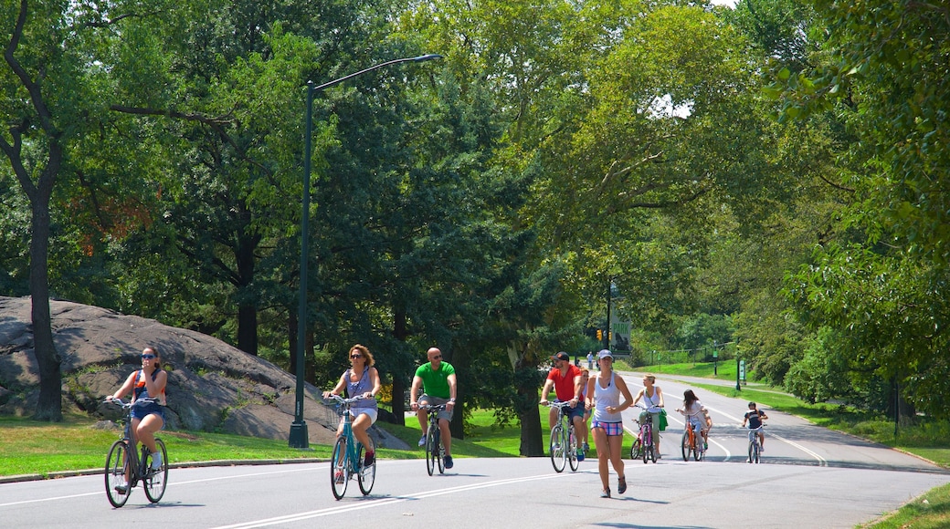 Central Park featuring a park and cycling