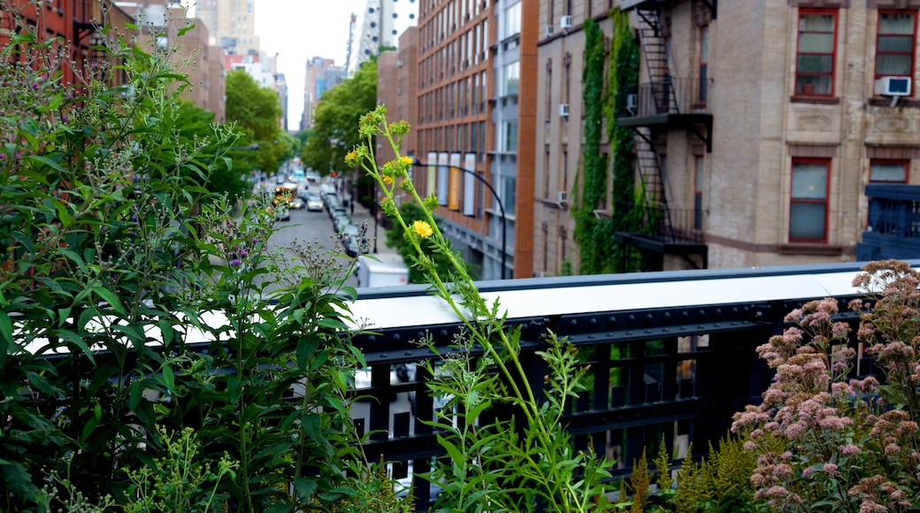 High Line