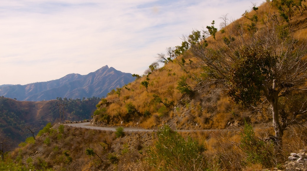 Shimla which includes mountains and landscape views