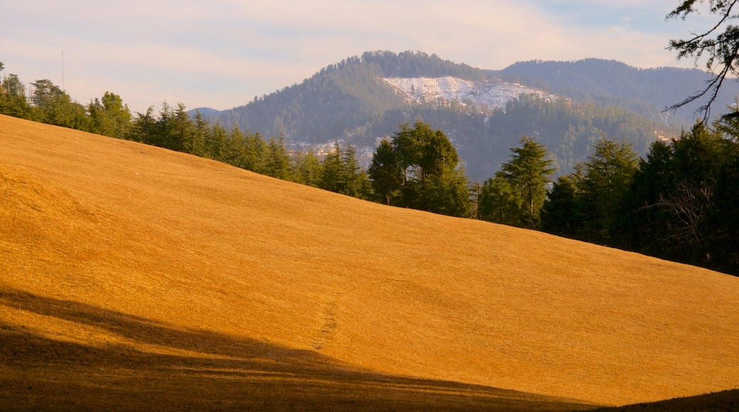 Shimla das einen ruhige Szenerie