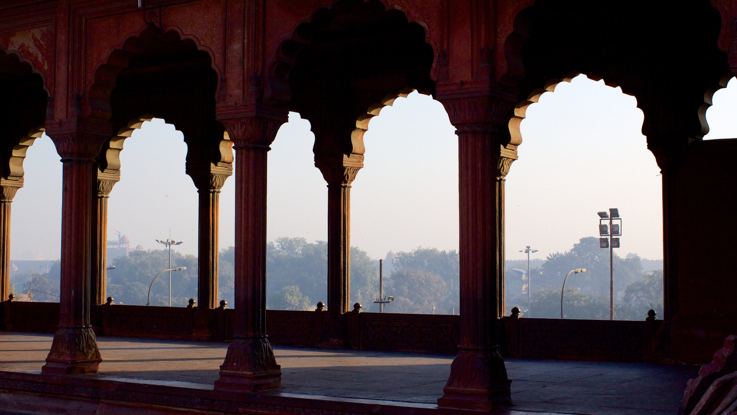 Aug 11 - Rare 'amber eyes' on the train from Agra to Delhi…