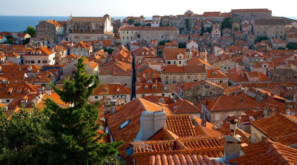 Dubrovnik - Southern Dalmatia showing a city