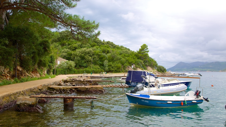 Lapad Beach showing boating and a bay or harbour