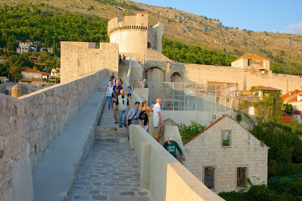 Festung Minceta welches beinhaltet historische Architektur