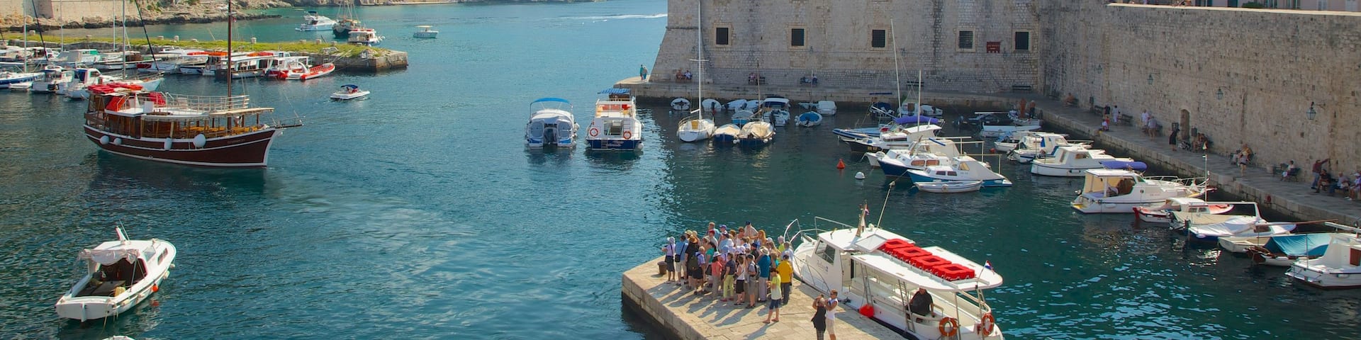 Dubrovnik Aquarium and Maritime Museum showing a marina and heritage elements