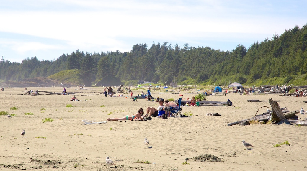 Playa Long Beach que incluye una playa de arena