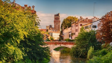 Padova che include città e fiume o ruscello