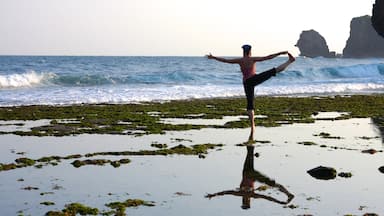 Central Java showing general coastal views as well as an individual femail