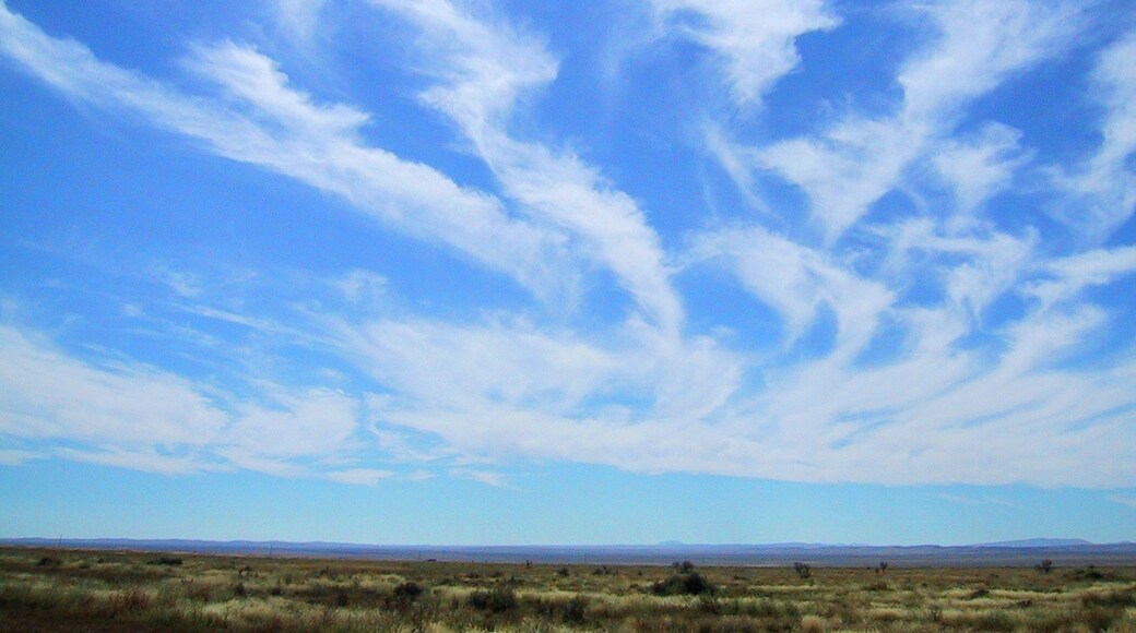 Photo provided by Midland CVB, www.VisitMidlandTexas.com