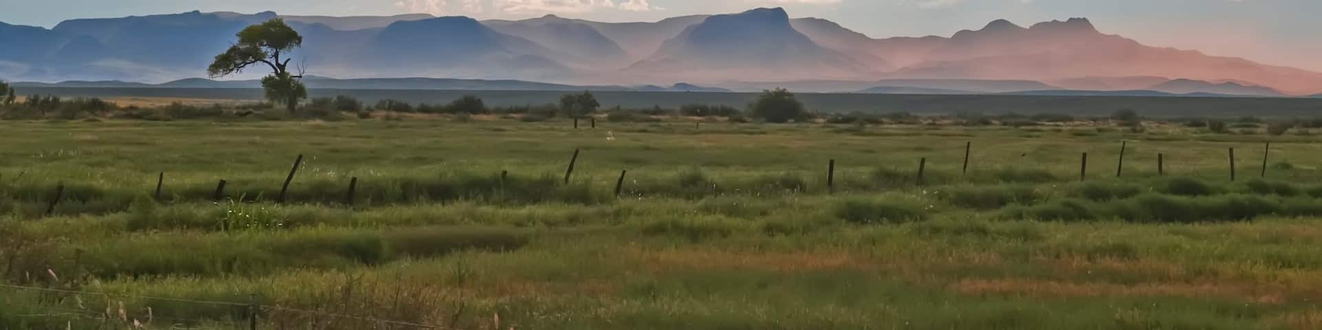 Midland showing tranquil scenes, farmland and landscape views