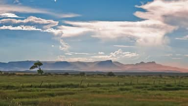 Midland showing tranquil scenes, farmland and landscape views