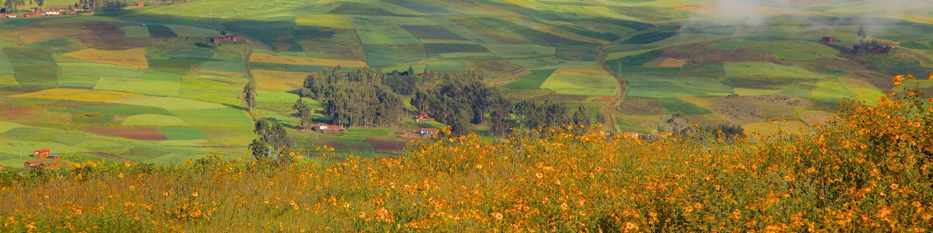 Cuzco (región), Perú