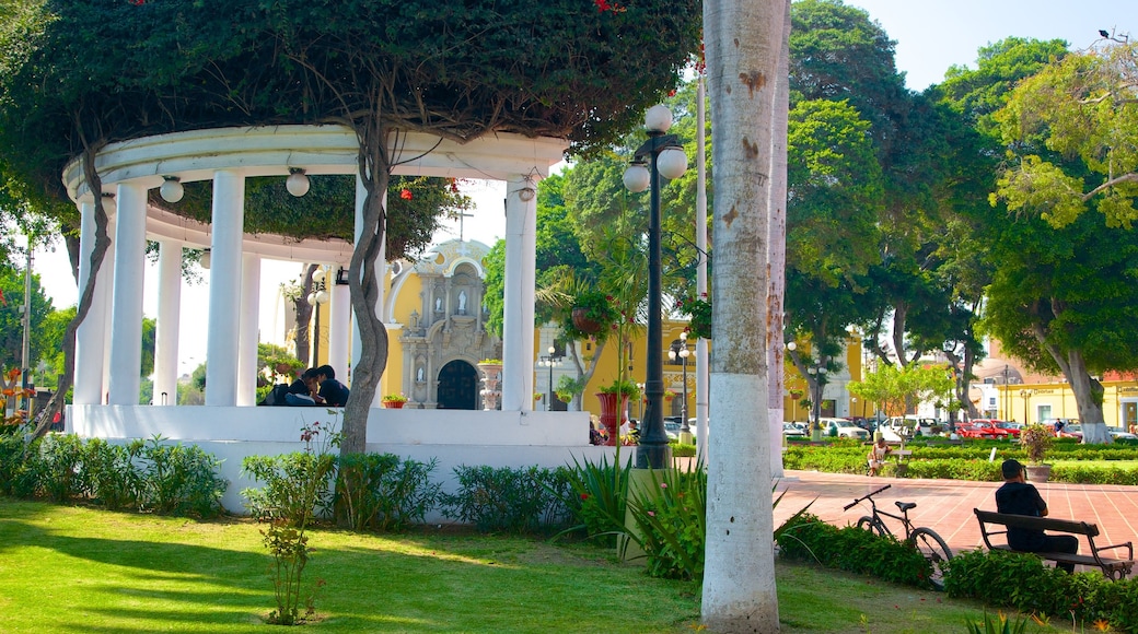 Lima caratteristiche di giardino