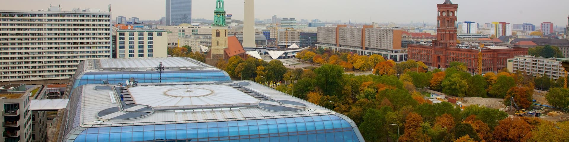 TV Tower showing a city