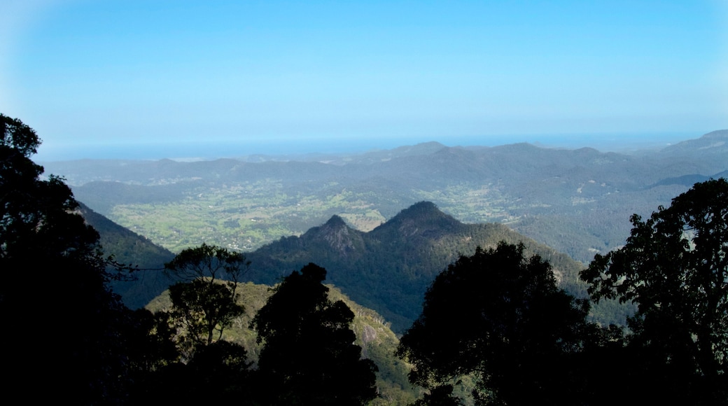 Mount Warning montrant scènes tranquilles et panoramas