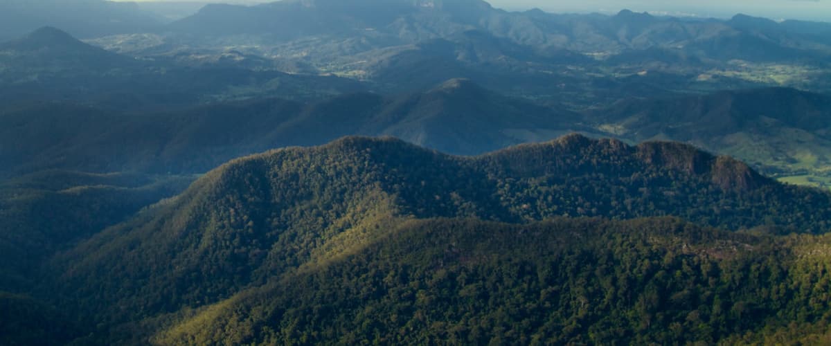 Mount Warning featuring landscape views, mountains and forests