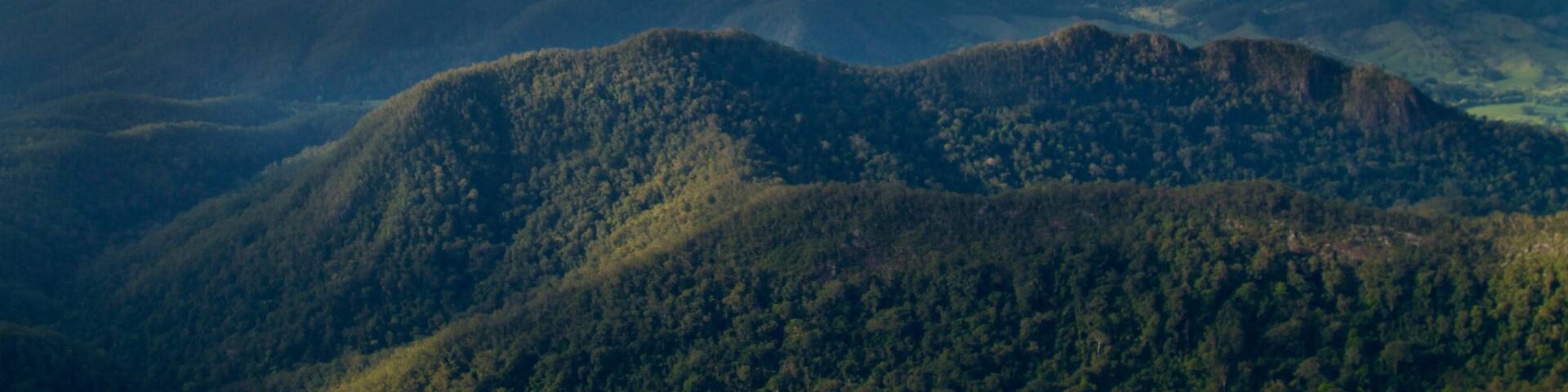 Mount Warning featuring landscape views, mountains and forests